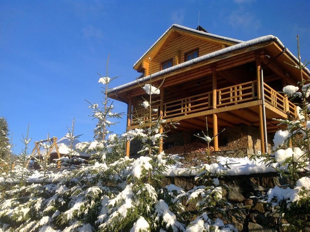 Villa Alpiyka Slavske Exterior foto